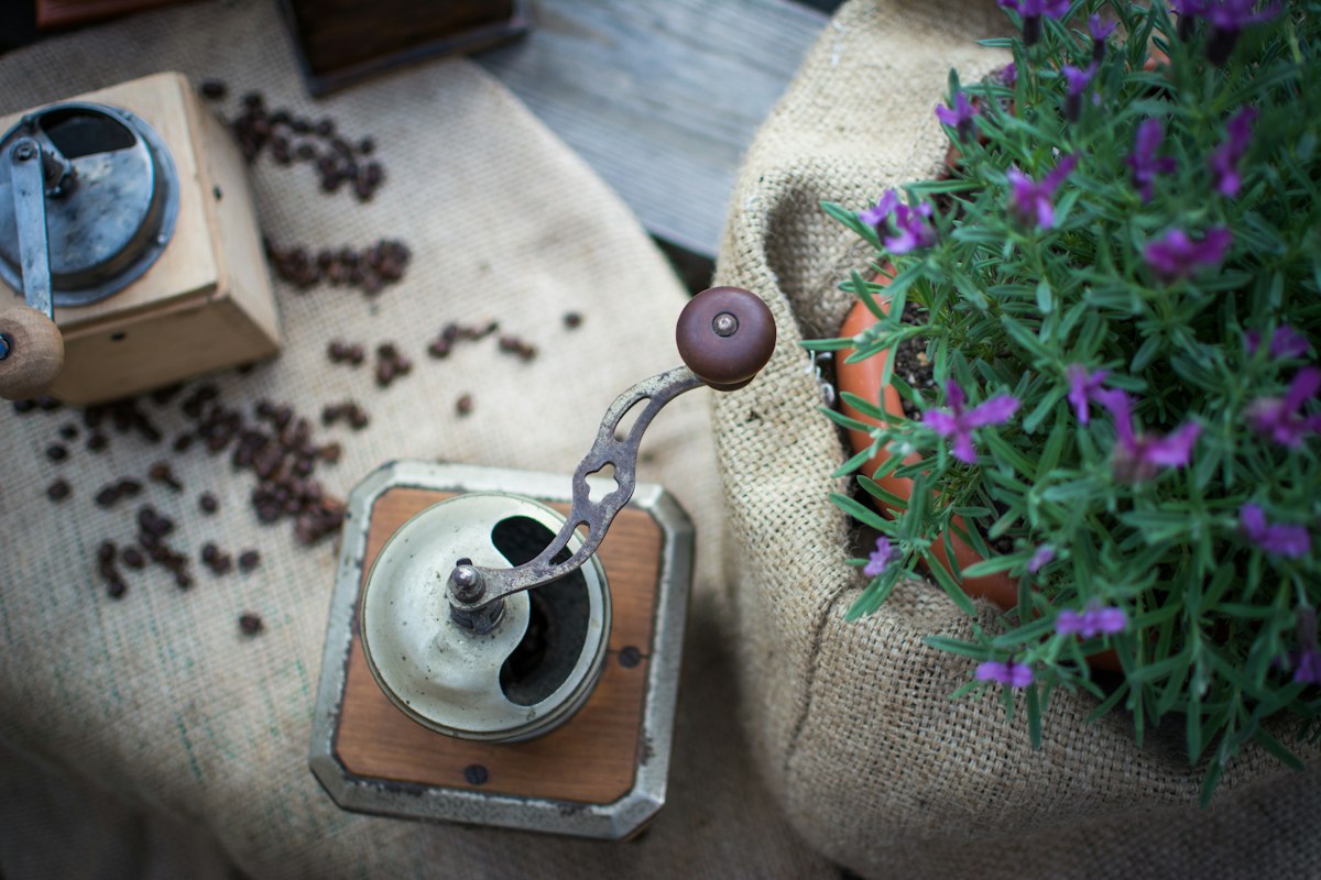 Premium Flat Burr Grinder